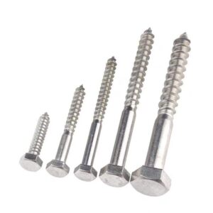 304 Stainless Steel Hex Head Lag Wood Screws M6-M12